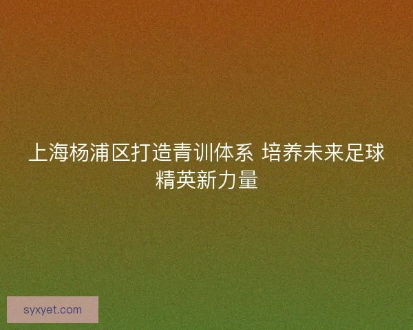上海杨浦区打造青训体系 培养未来足球精英新力量